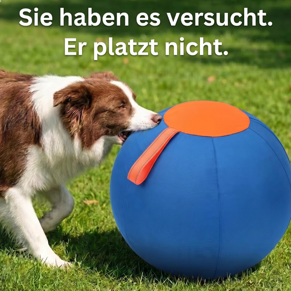 Playzo AuspowerBall