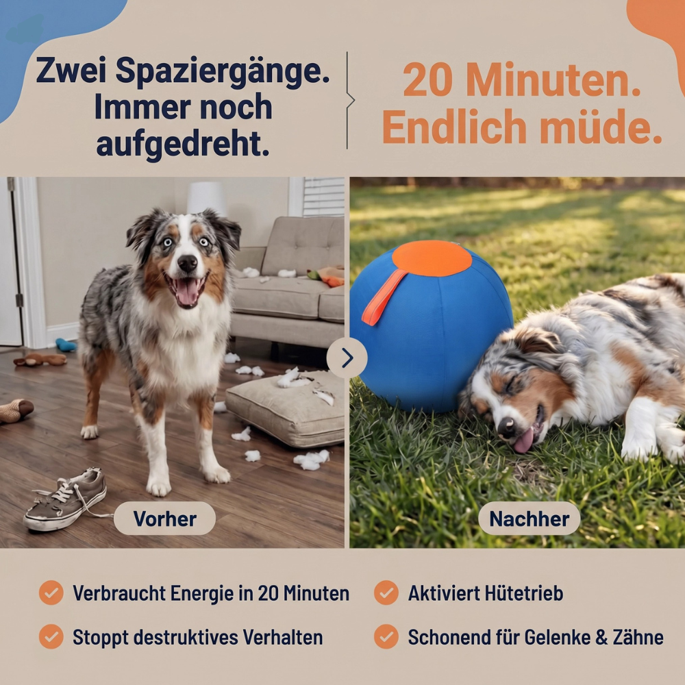 Playzo AuspowerBall