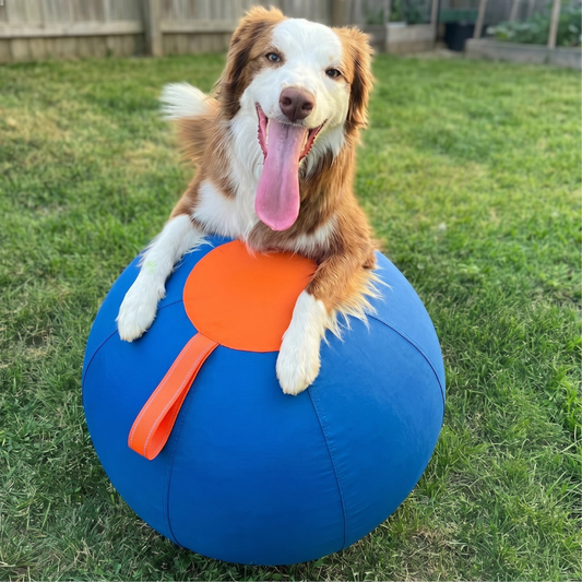Playzo AuspowerBall